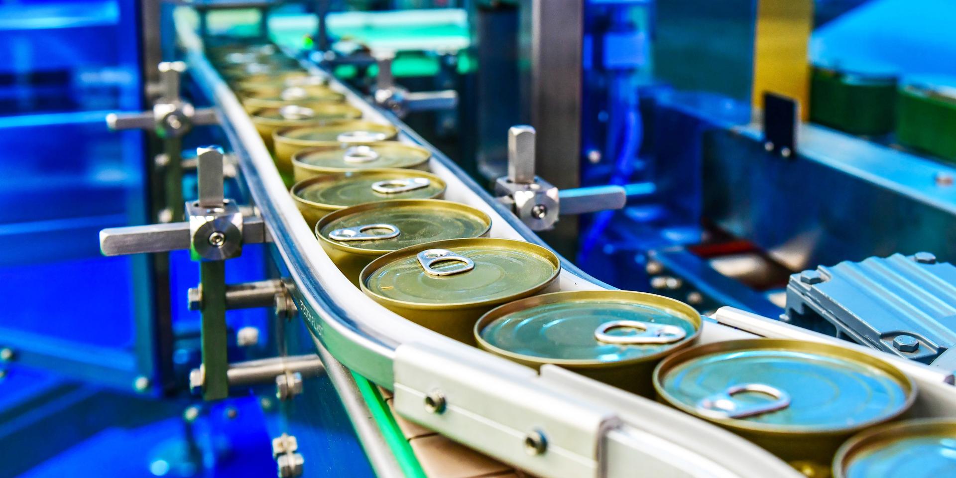 Food Processing Lines